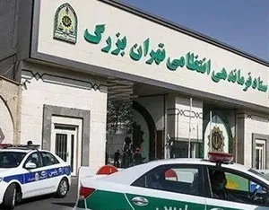 توضیحات پلیس تهران درباره تیراندازی در پارک اوستا/ دستگیری دو متهم به شرارت