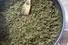 چگونه تلخی سبزی سرخ شده را بگیریم ؟ از قورمه سبزی و خورشت کرفس تا انواع کوکو