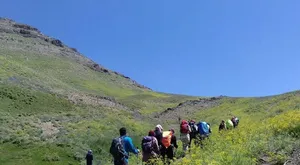قله محبوب پژوهشگران طب سنتی