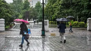 هواشناسی: بارش پراکنده در ۳ استان شمالی؛ بیشتر مناطق کشور آرام می‌مانند