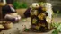 طرز تهیه ترشی بادمجان خوشمزه و سالم؛ یک ترشی خانگی خوش‌عطر و اشتهابرانگیز