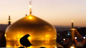 ظرفیت حرم مطهر رضوی تکمیل شد