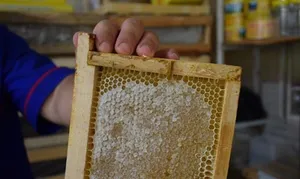 عسل طبیعی رنگ ثابتی ندارد