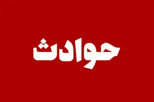 3سال حبس و 1.2میلیاردتومان جریمه برای شکار12 میش باردار و انتشار تصاویر تلخ آنها در فضای مجازی