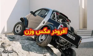 آفرودر مگس وزن؛ طراحی جالب برای اسمارت مرسدس بنز (تصویری)