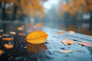 شروع پاییز با گرما/ پیش‌بینی بارش‌های مطلوب برای نیمه دوم سال