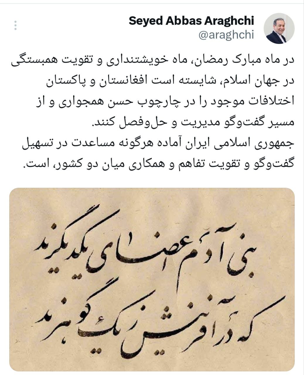 عراقچی: افغانستان و پاکستان خویشتنداری کنند عراقچی: افغانستان و پاکستان خویشتنداری کنند