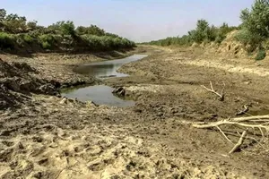 تالاب تشنه/ گزارشی از دلایل آتش‌سوزی‌های هورالعظیم