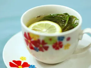 طرز تهیه دمنوش ترخون