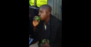مجازات عجیب یک سارق در کنیا؛ اجبار به خوردن ۵۱ عدد آووکادوی نارس!