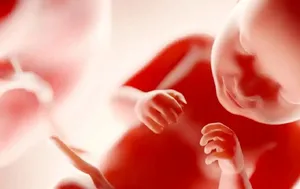 جنین انسان چه زمانی «آگاه» می‌شود؟