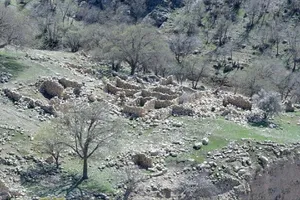 شناسایی روستای صفوی و متروک در جنگل‌های استان فارس (+عکس)