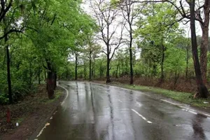 ­پیش بینی رگبار پراکنده در نوار شمالی طی روزهای آینده