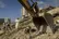 شمار قربانیان زلزله‌های ونزوئلا به ۵۳۹۸ نفر رسید