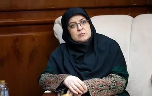 سخنگوی دولت وارد بوشهر شد