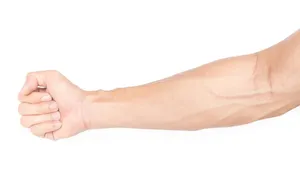 سفر به اعماق ساعد انسان؛ کالبدشکافی لایه به لایه شاهکار مهندسی بدن (اینفوگرافیک)