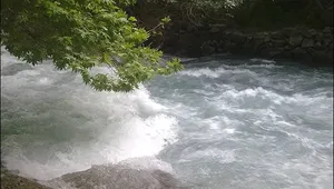 پلیس راه مازندران راننده خودروی سرقتی را از رودخانه هراز بیرون کشید