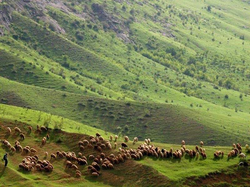 هوراند؛ شهر گمشده در جنگلهای ارسباران با قلعههای هزارساله هوراند؛ شهر گمشده در جنگلهای ارسباران با قلعههای هزارساله