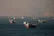 عقب نشینی ترامپ از تعرفه 20 درصدی تنگه هرمز