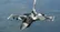 این ۵ جنگنده از F-16 هم سریع‌ترند! (+عکس)